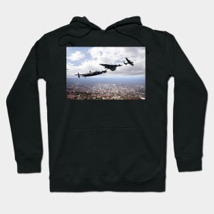 Avro Birds Hoodie